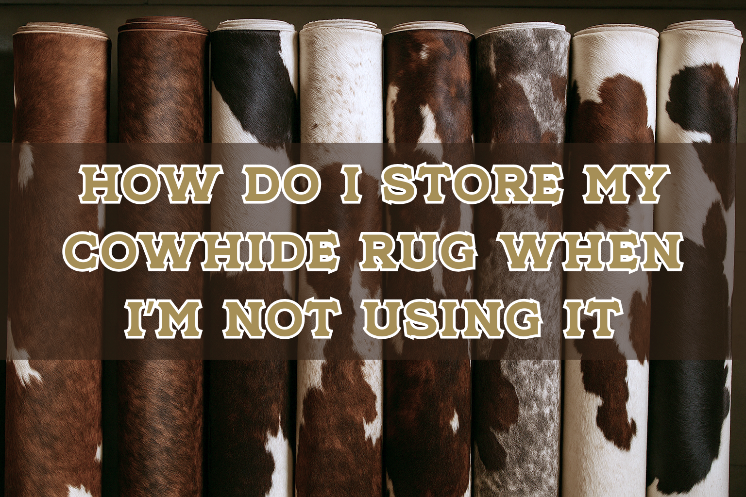 Cowhide rug rolled up and stored