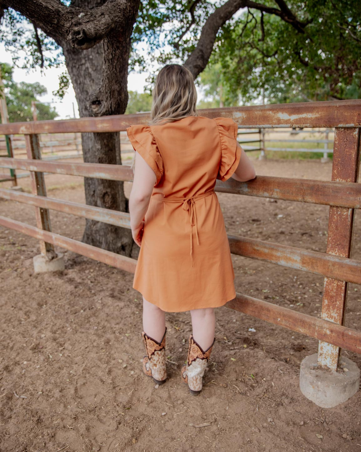 Ruffle Sleeve Dress - Brahman Brown Collection