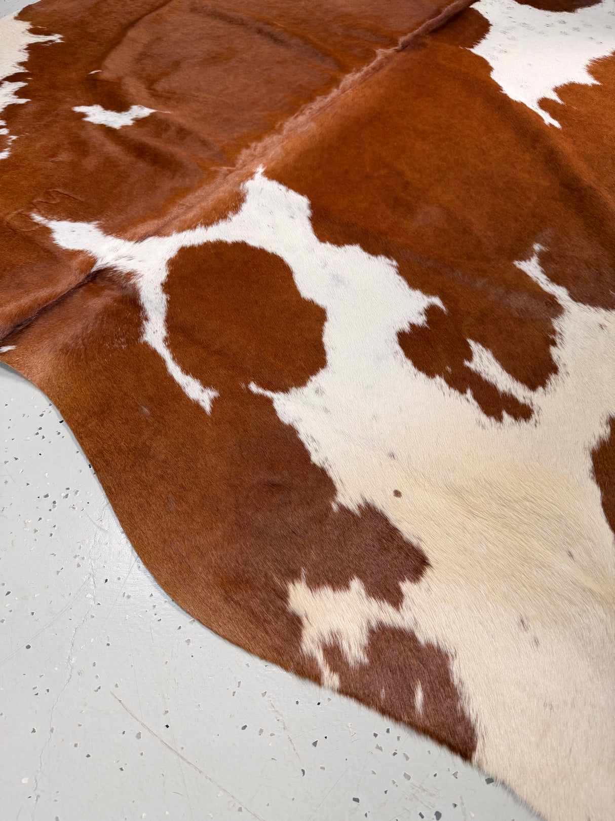 Genuine Cowhide Floor Rug 035