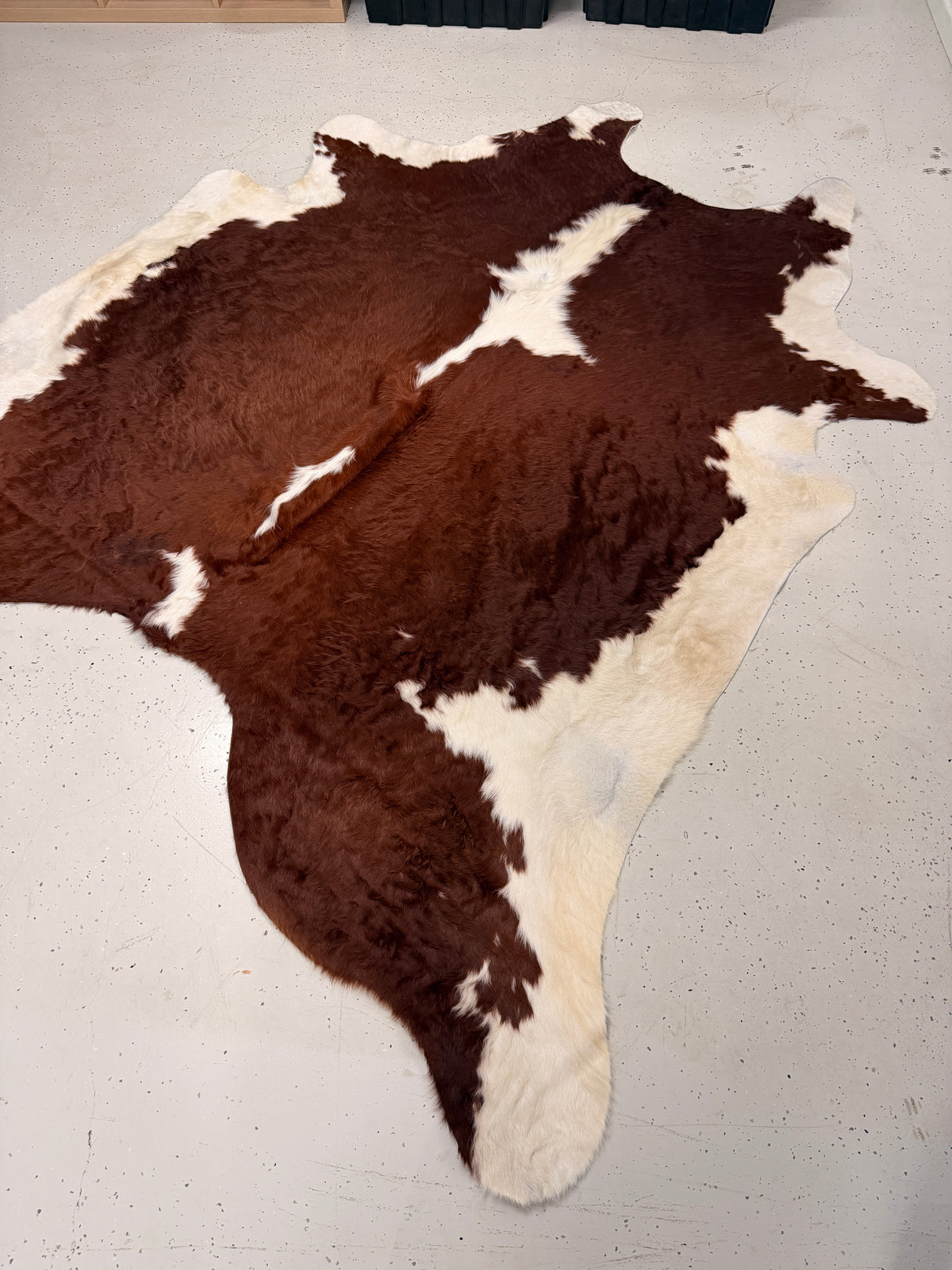 Genuine Cowhide Floor Rug 048