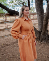 Long Sleeve Dress - Brahman Brown Collection