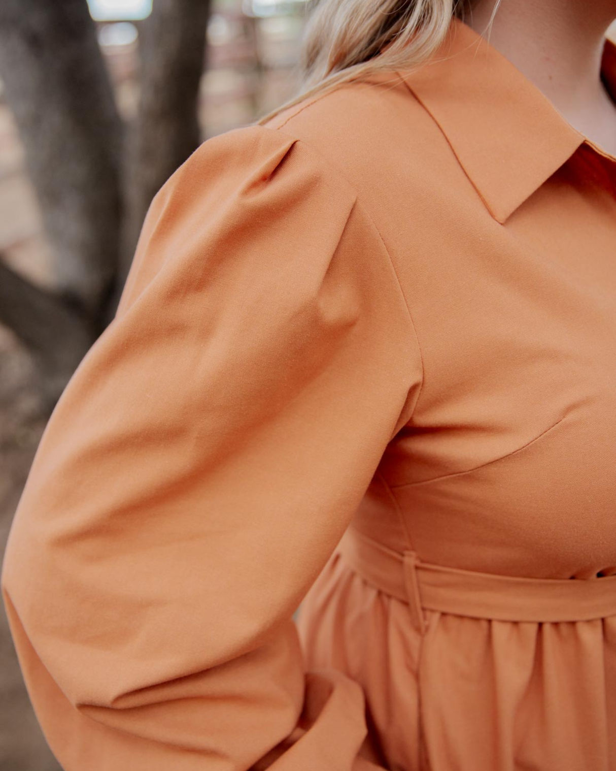 Long Sleeve Dress - Brahman Brown Collection