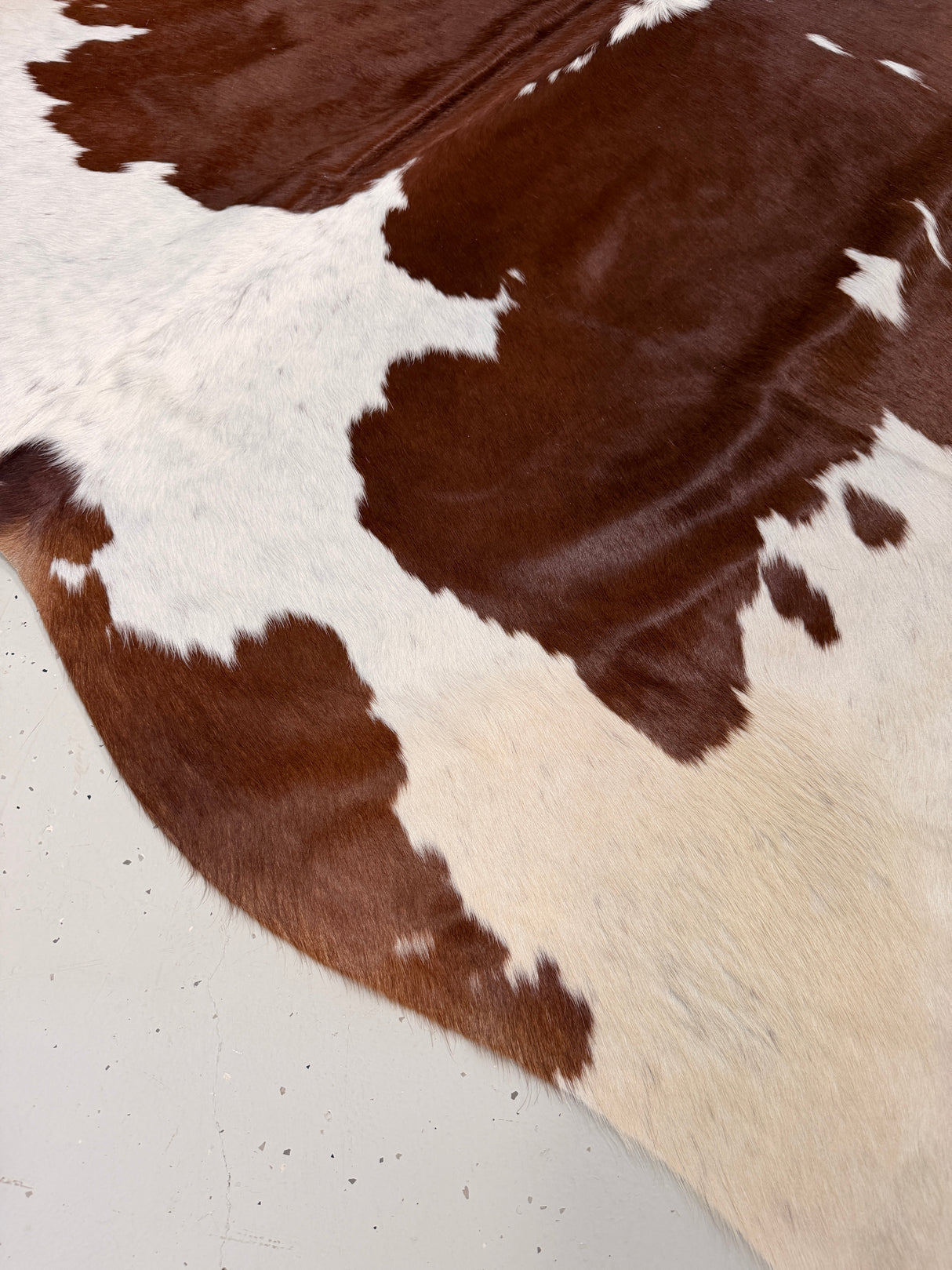 Genuine Cowhide Floor Rug 036