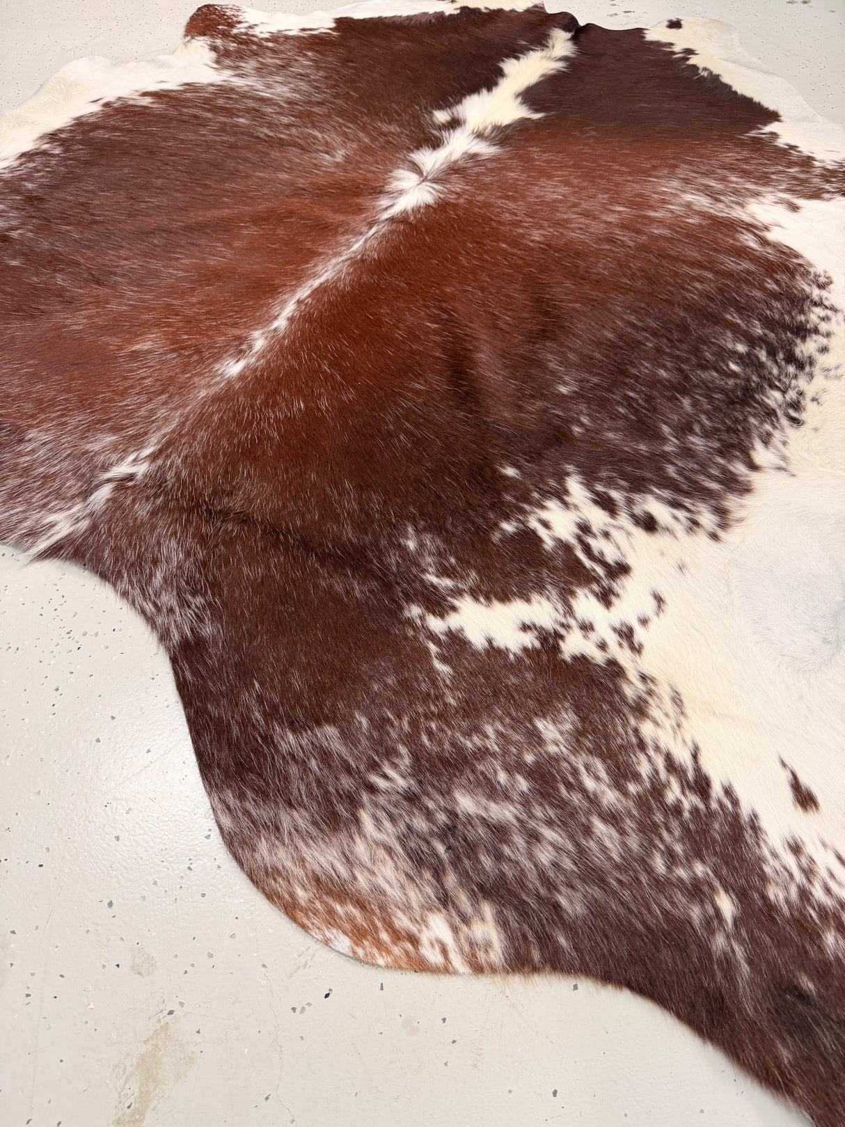 Genuine Cowhide Floor Rug 018