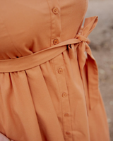 Long Sleeve Dress - Brahman Brown Collection