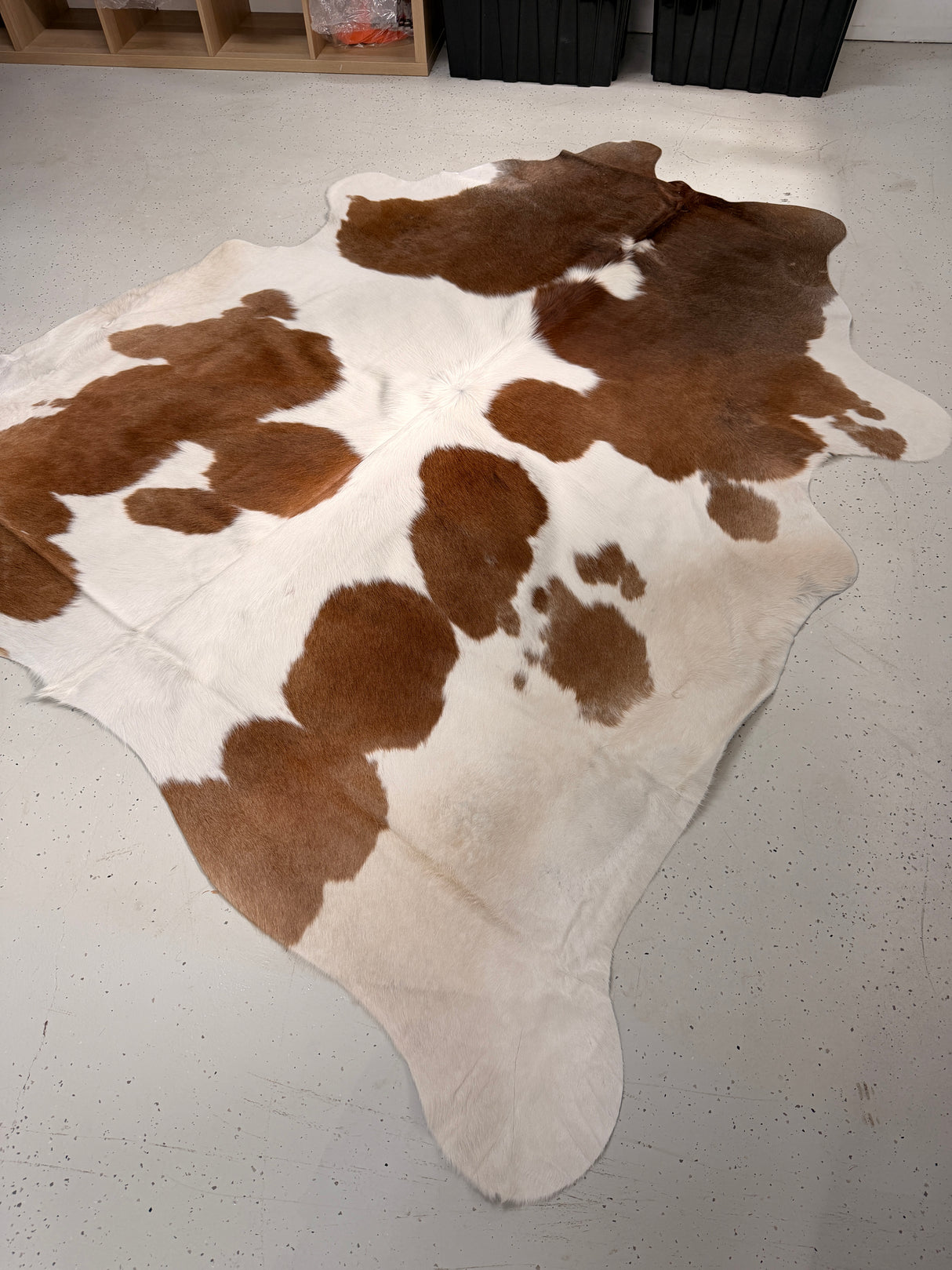 Genuine Cowhide Floor Rug 034