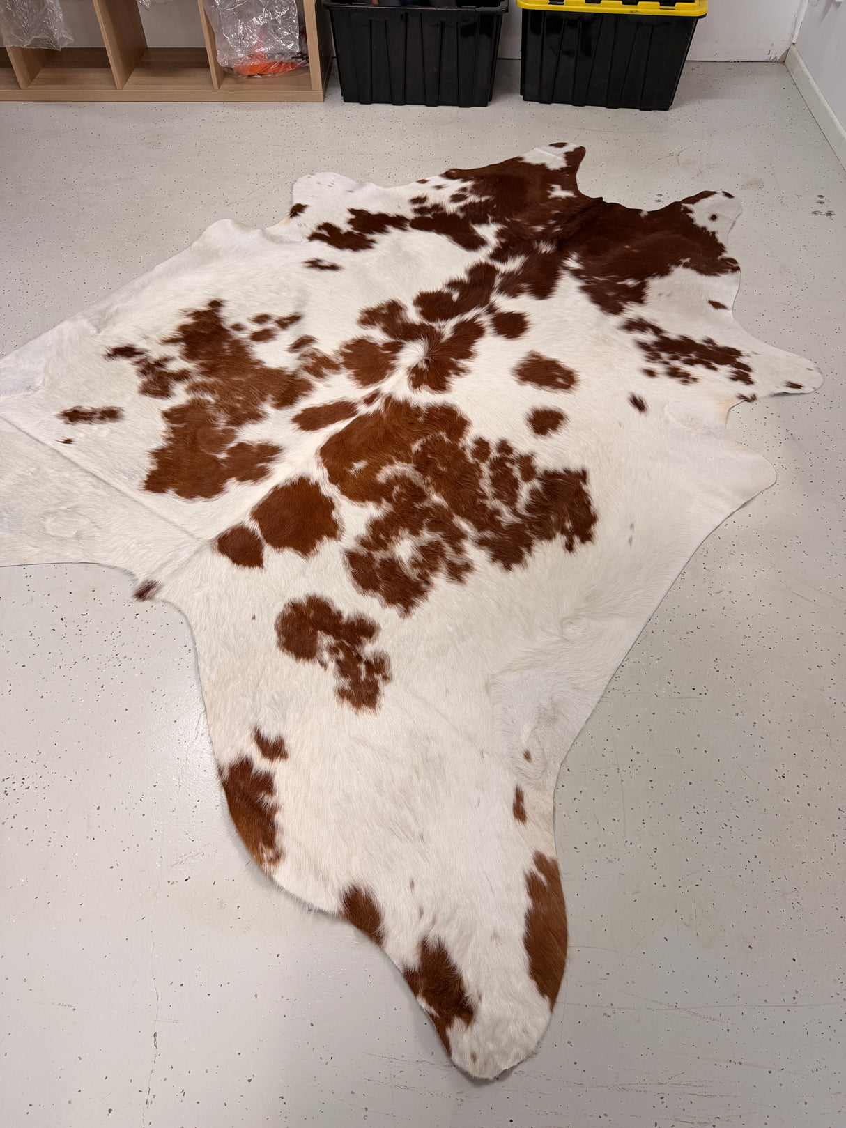 Genuine Cowhide Floor Rug 031