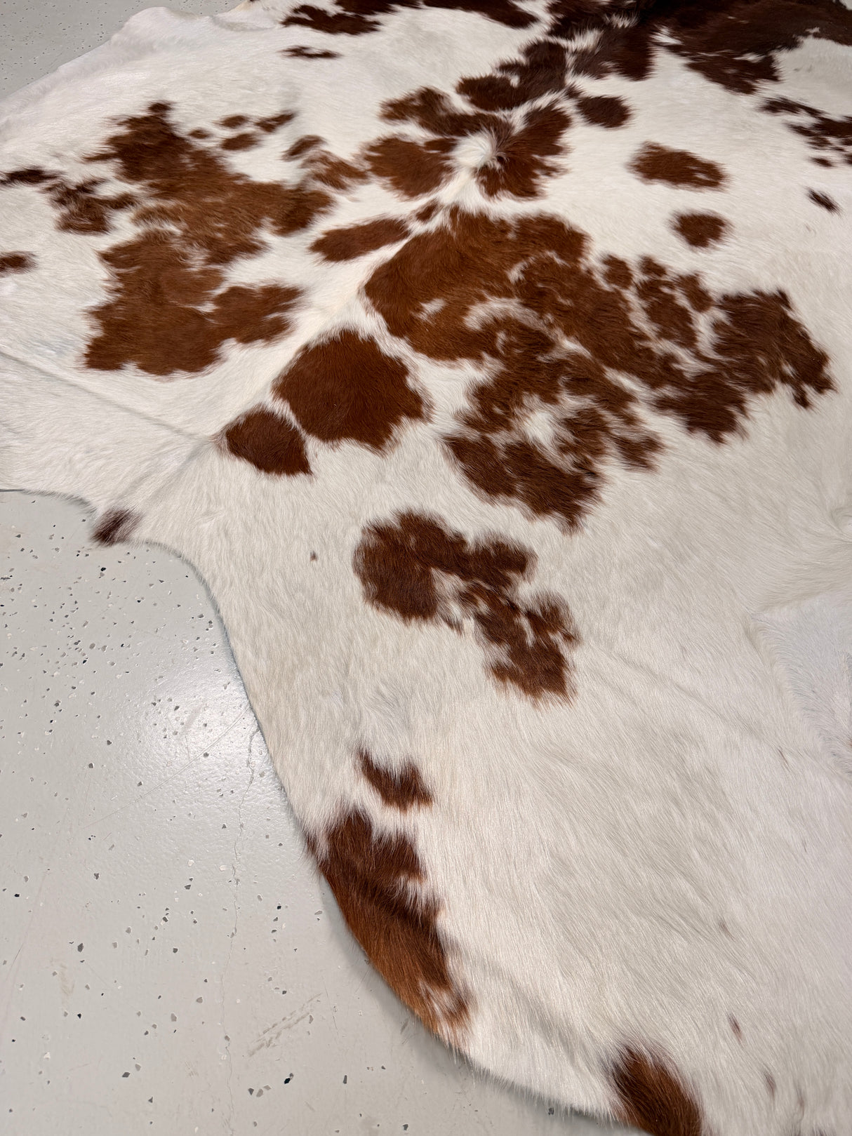 Genuine Cowhide Floor Rug 031