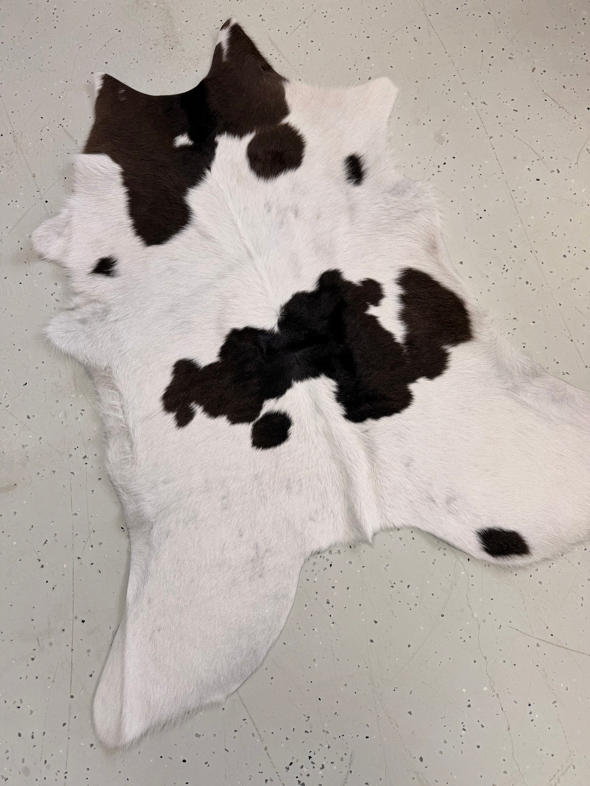 Calf Hide Floor Rug 099
