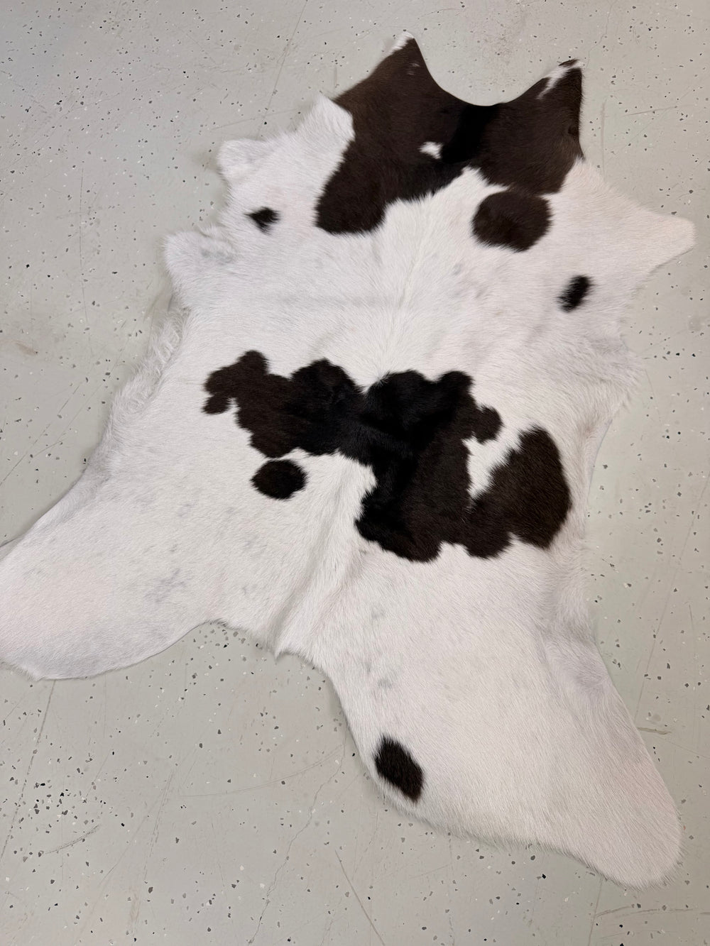Calf Hide Floor Rug 099