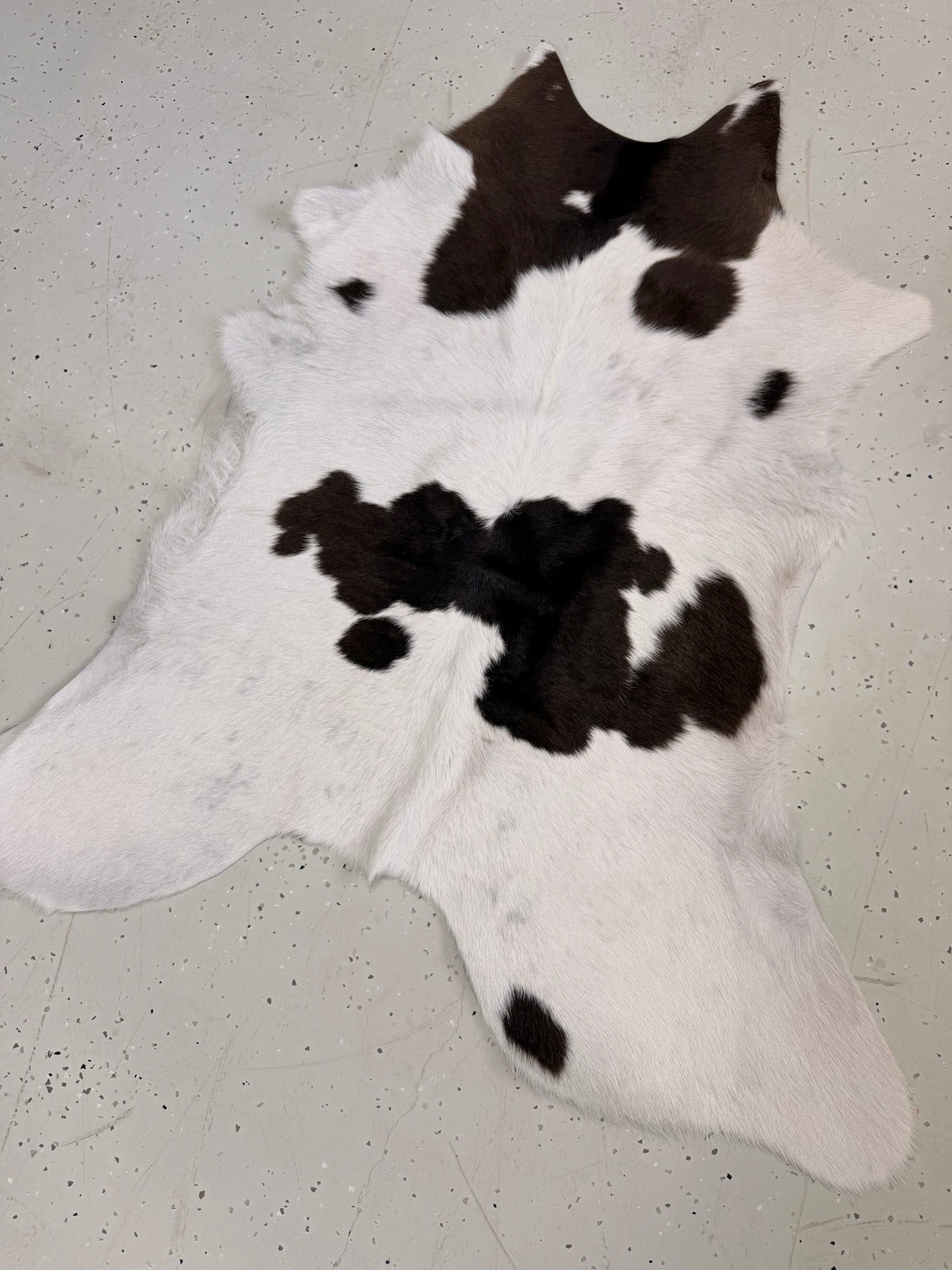 Calf Hide Floor Rug 099