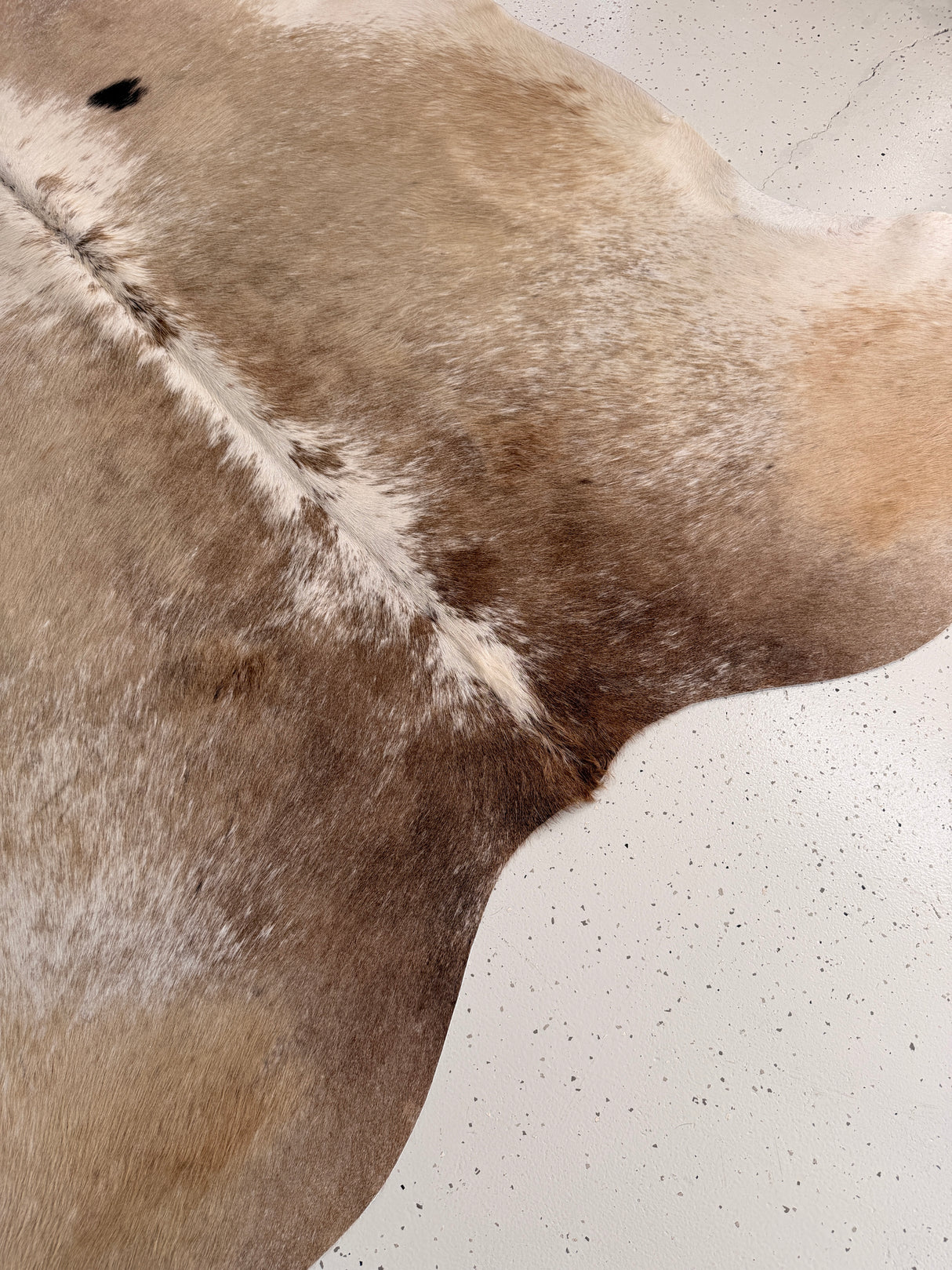 Genuine Cowhide Floor Rug 977
