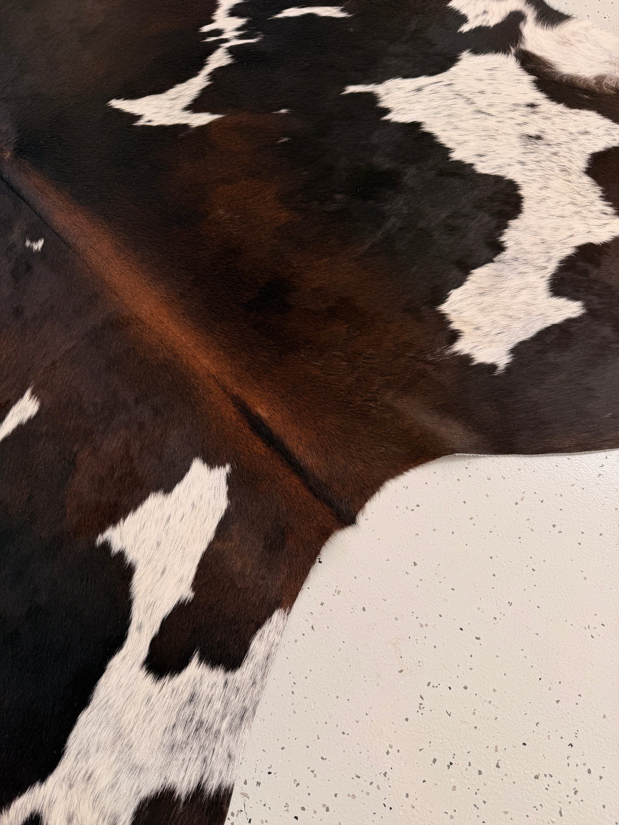 Genuine Cowhide Floor Rug 1005