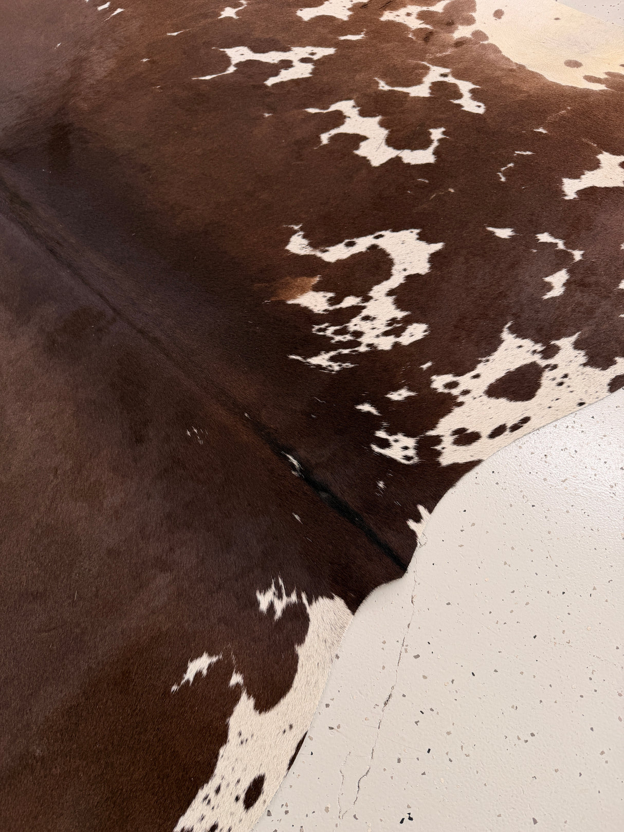 Genuine Cowhide Floor Rug 1011