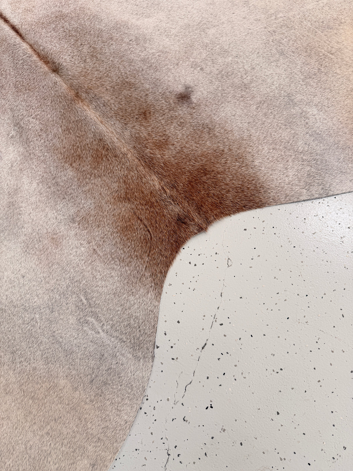 Genuine Cowhide Floor Rug 1014