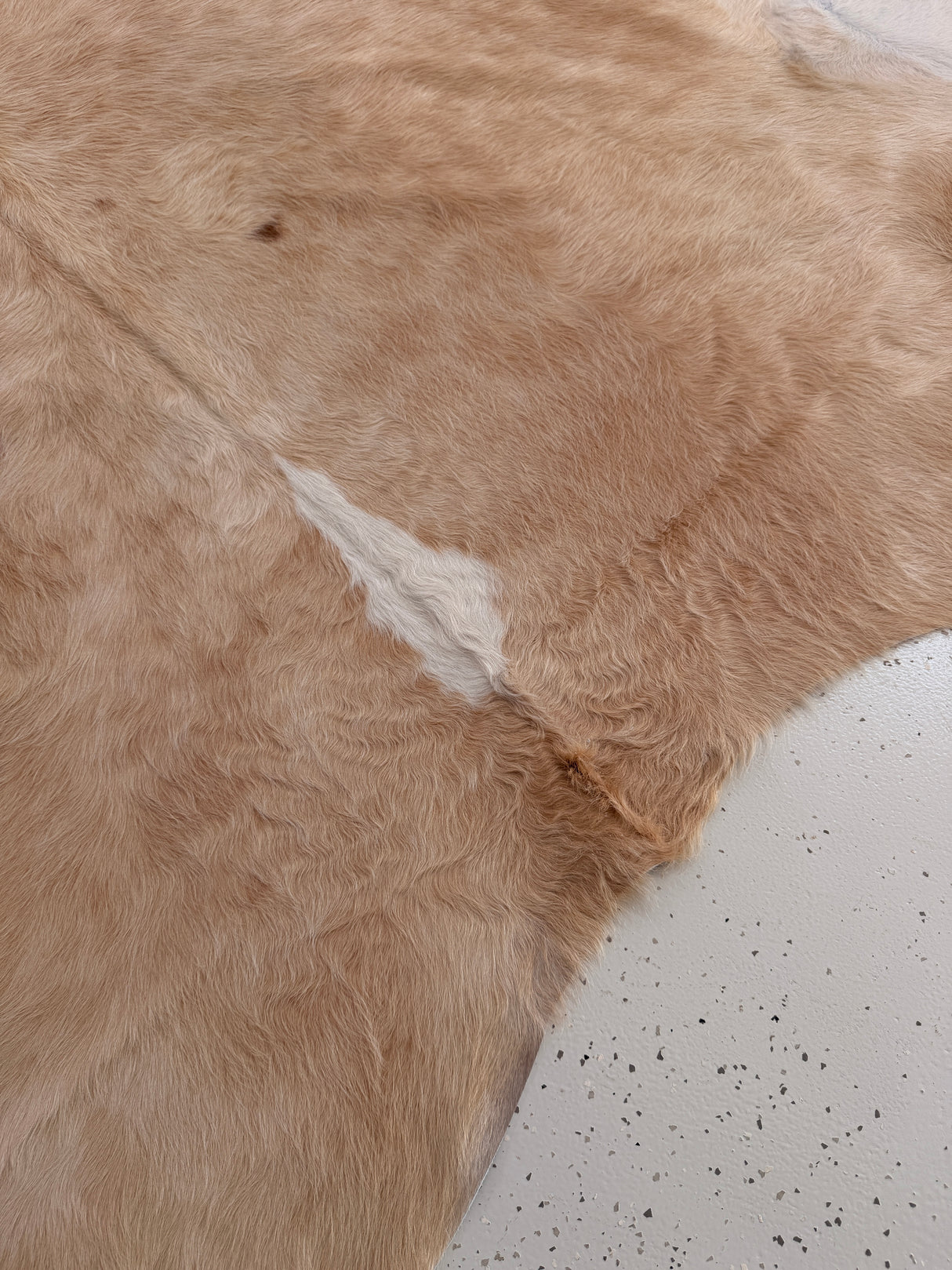 Genuine Cowhide Floor Rug 1018