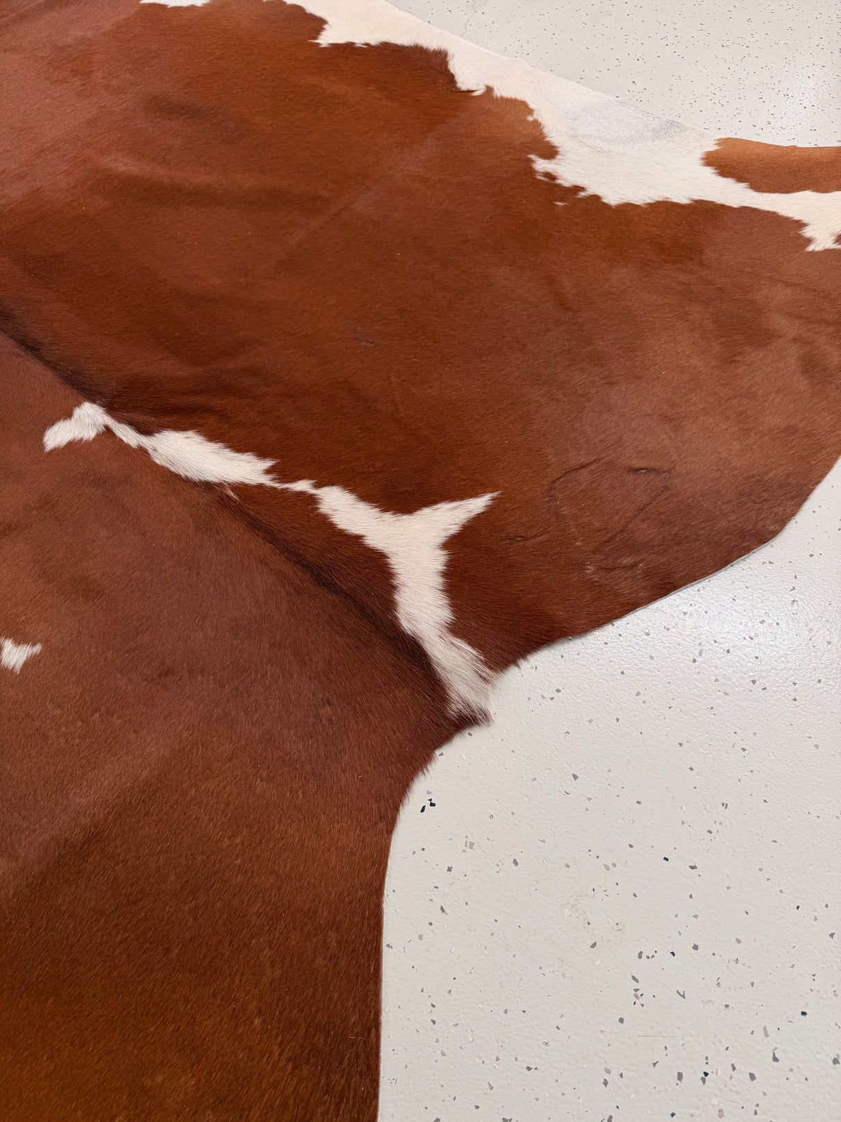 Genuine Cowhide Floor Rug 1019