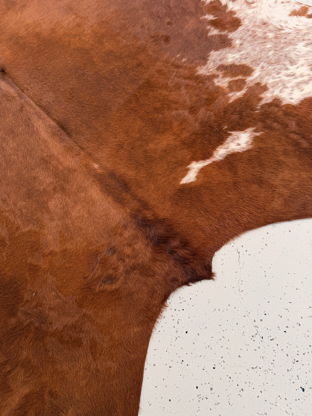 Genuine Cowhide Floor Rug 1020