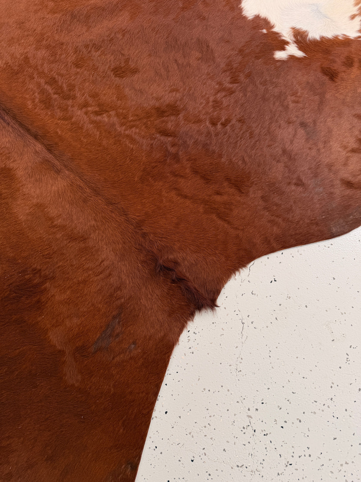 Genuine Cowhide Floor Rug 1021