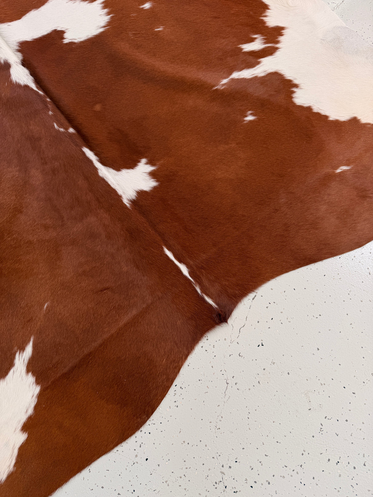 Genuine Cowhide Floor Rug 1023