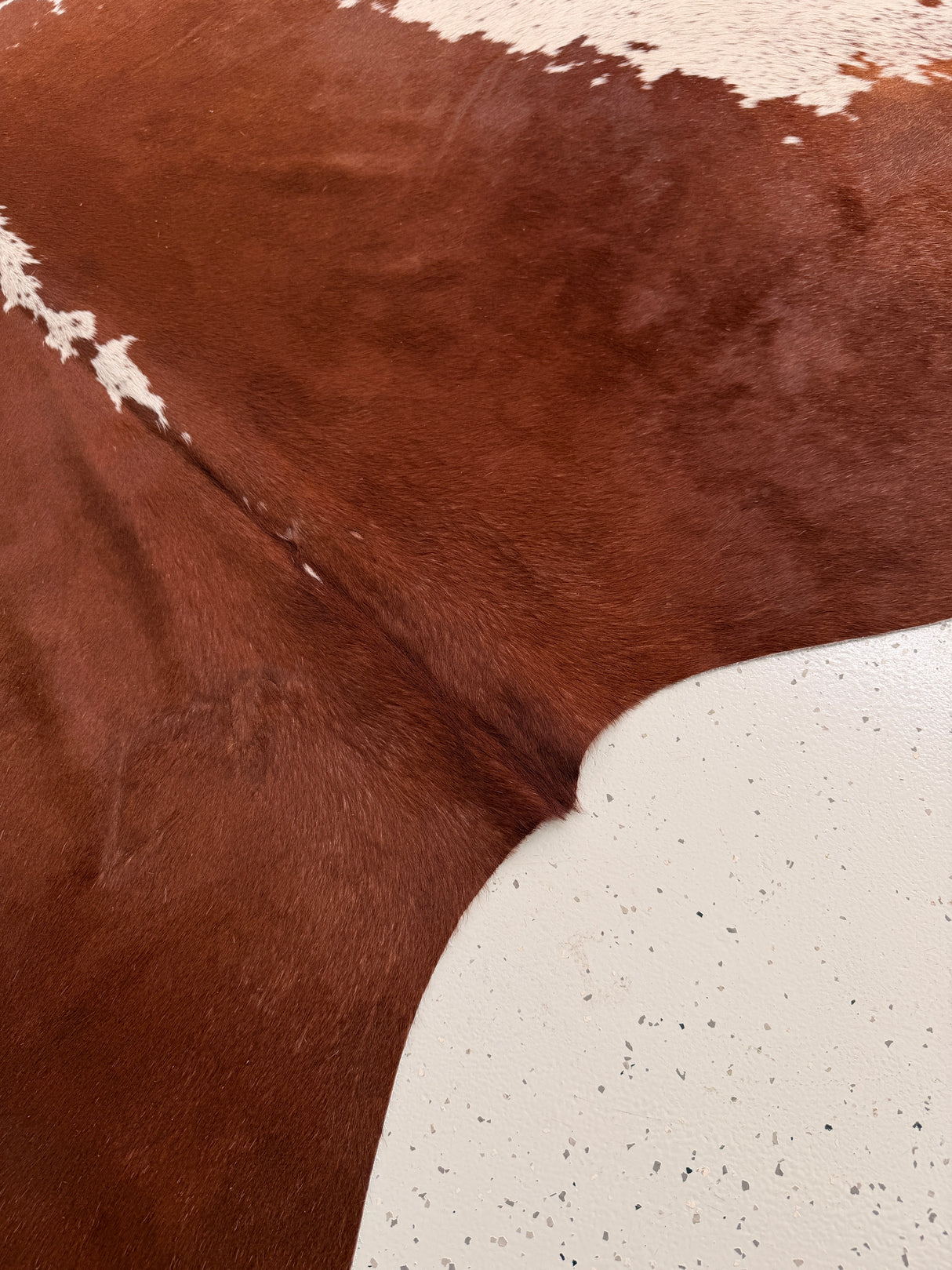 Genuine Cowhide Floor Rug 1025