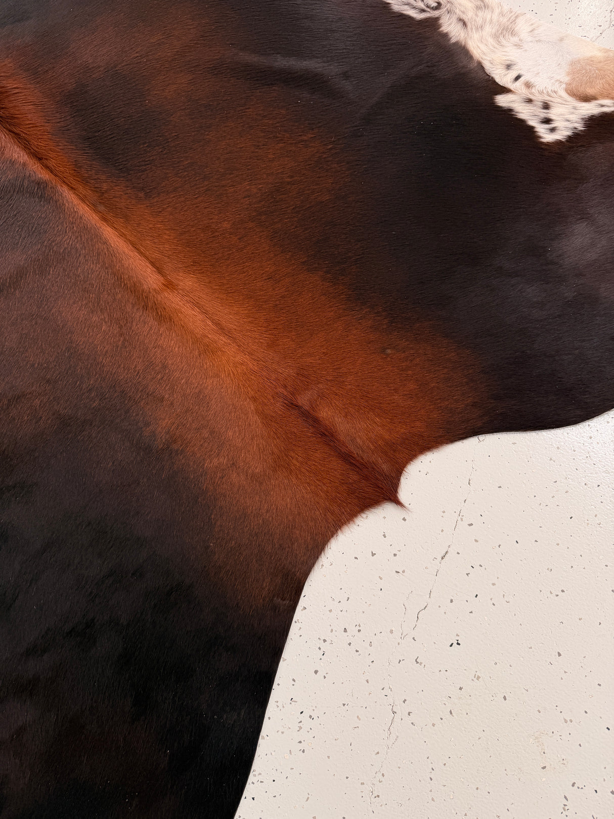 Genuine Cowhide Floor Rug 1030