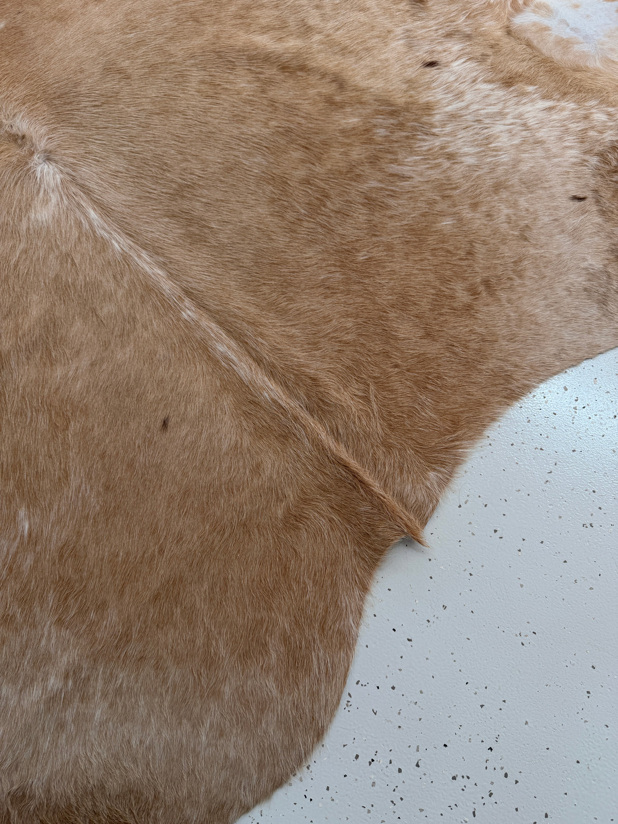 Genuine Cowhide Floor Rug 1032