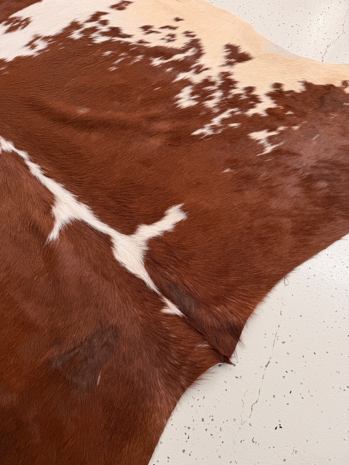 Genuine Cowhide Floor Rug 1035