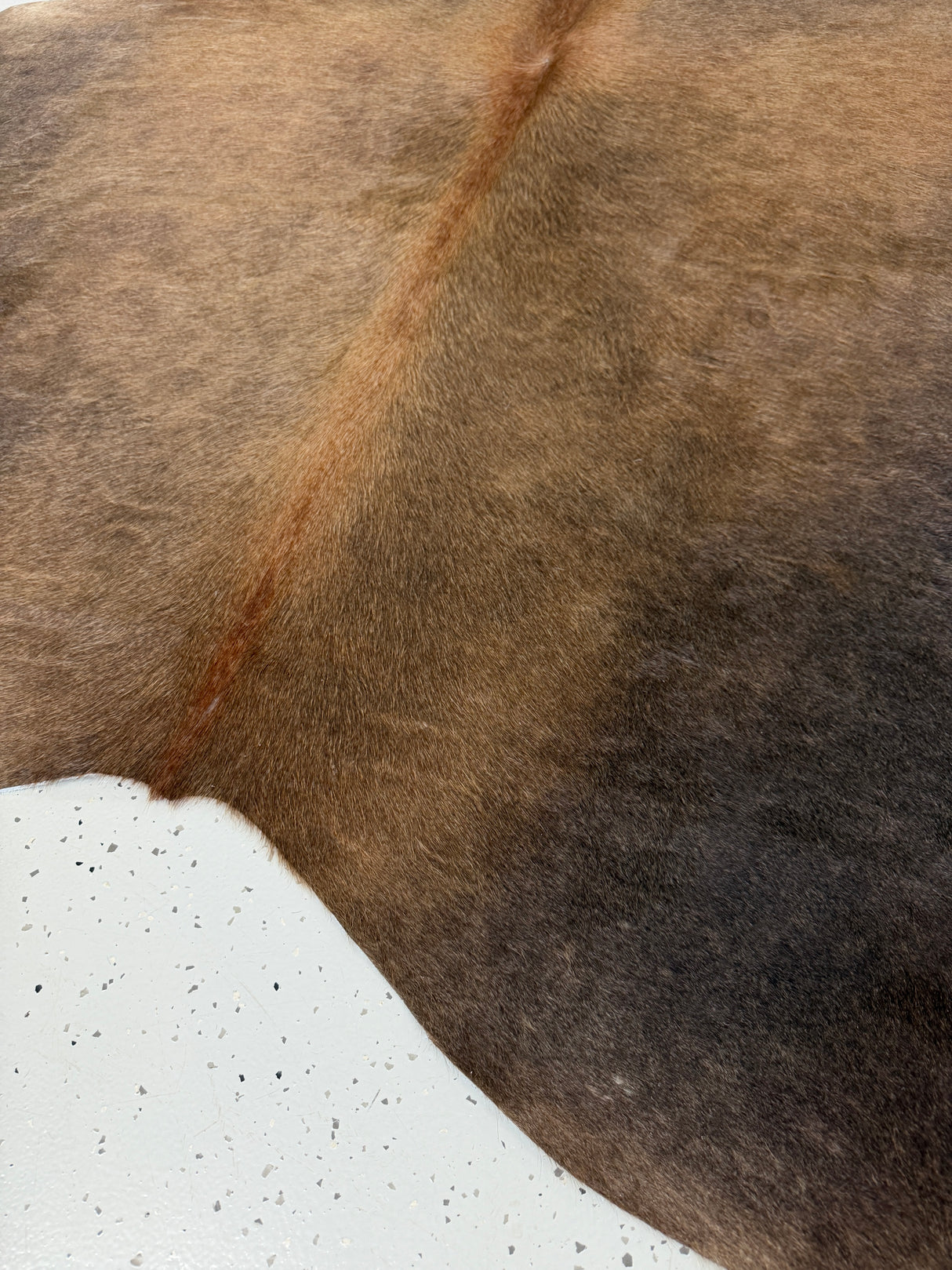 Genuine Cowhide Floor Rug 803