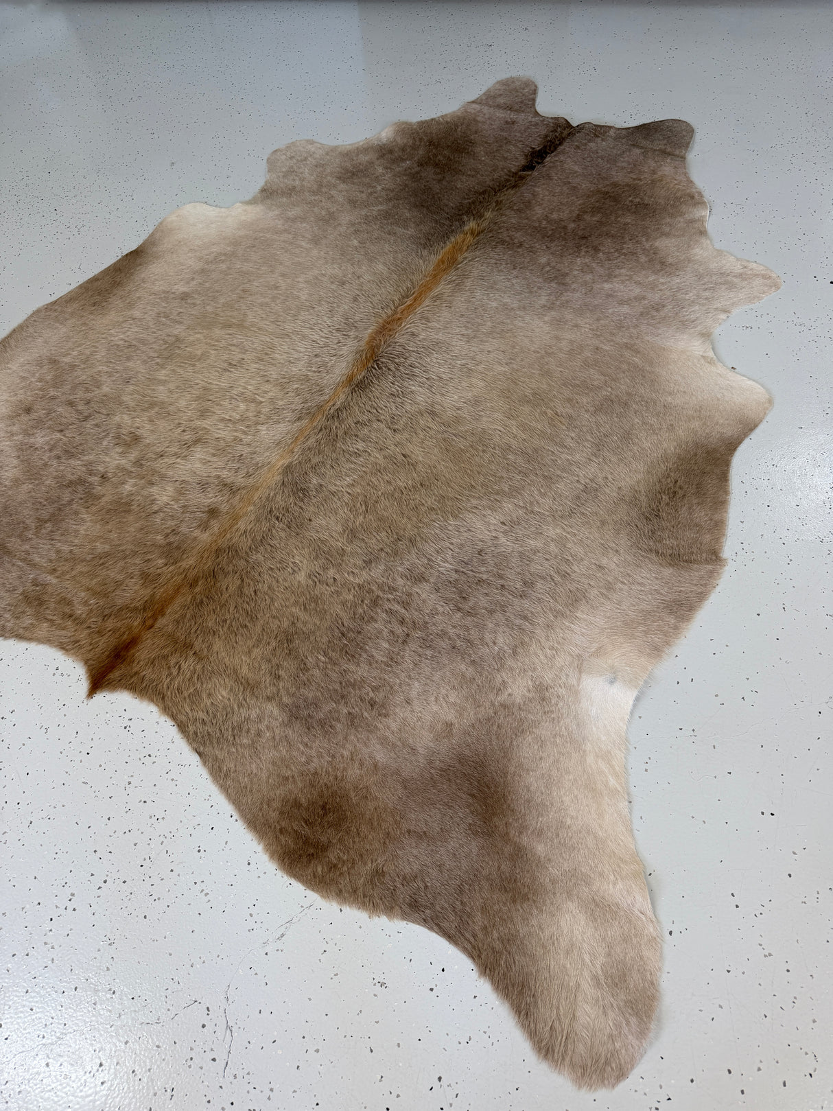 Genuine Cowhide Floor Rug 883