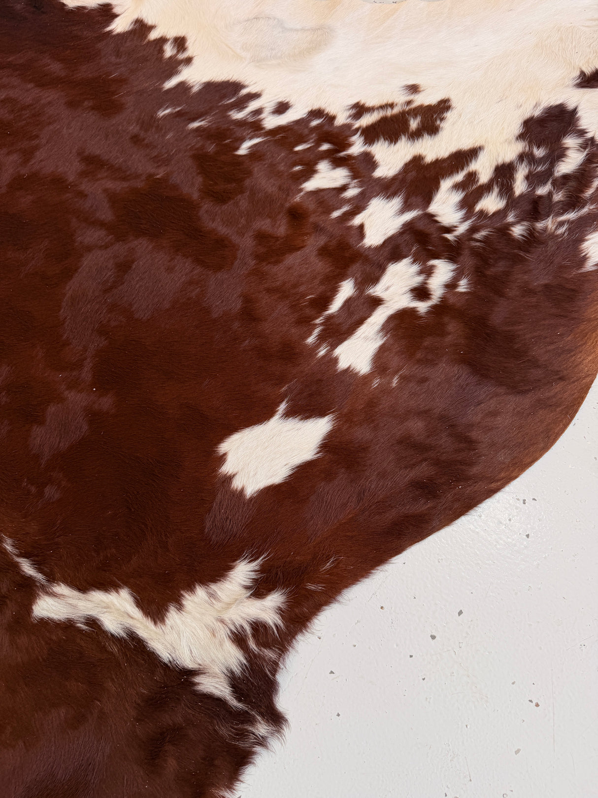 Genuine Cowhide Floor Rug 1051