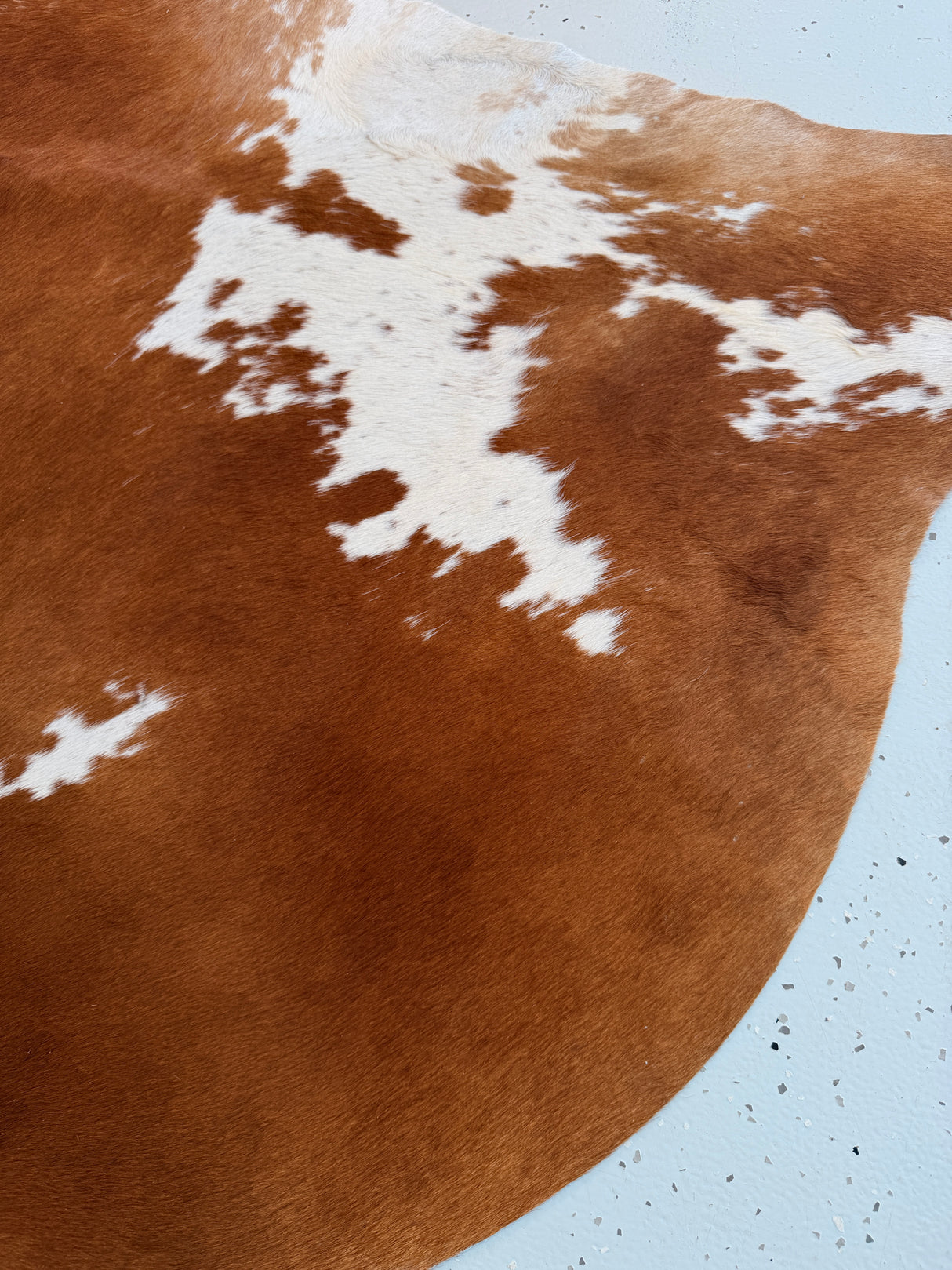 Genuine Cowhide Floor Rug 1052