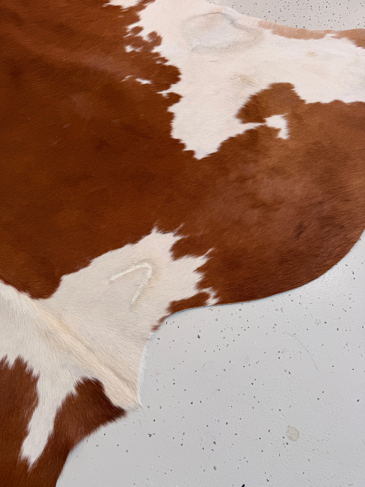 Genuine Cowhide Floor Rug 1057