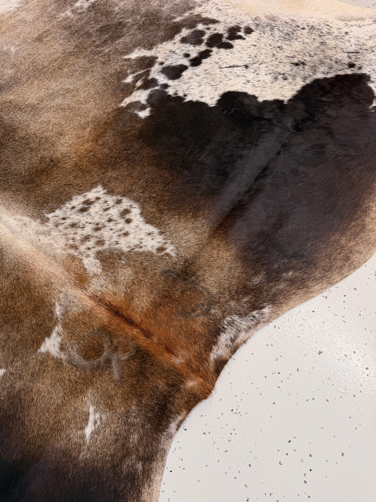 Genuine Cowhide Floor Rug 1066