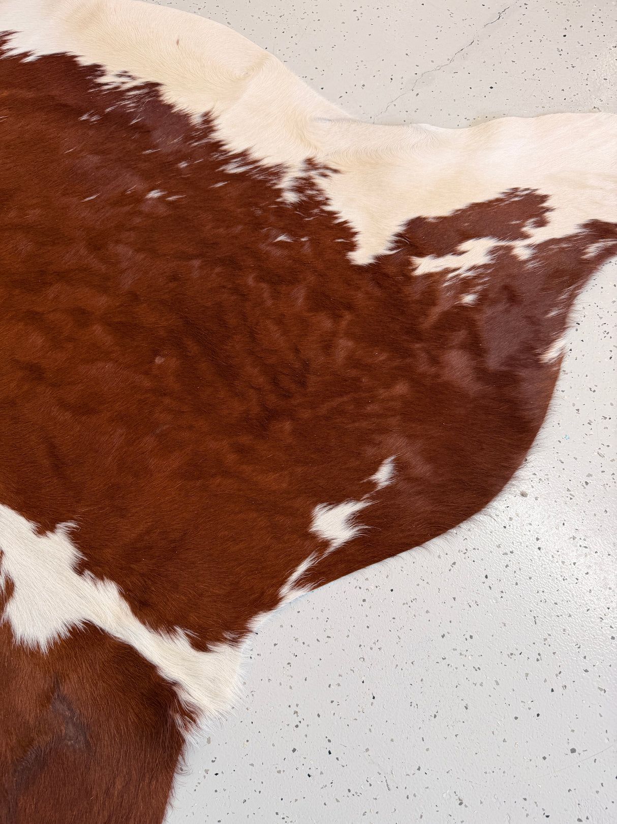 Genuine Cowhide Floor Rug 1069