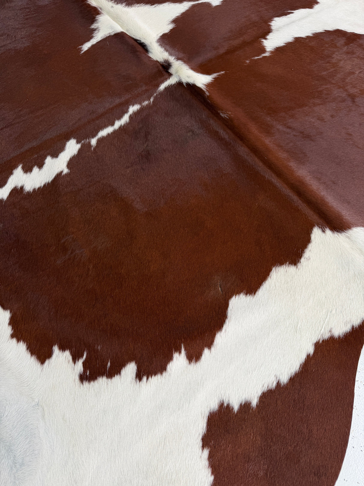 Genuine Cowhide Floor Rug 139