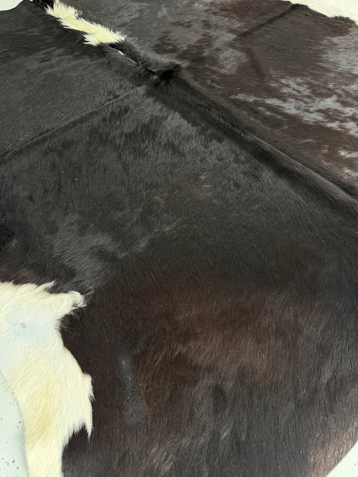 Genuine Cowhide Floor Rug 726