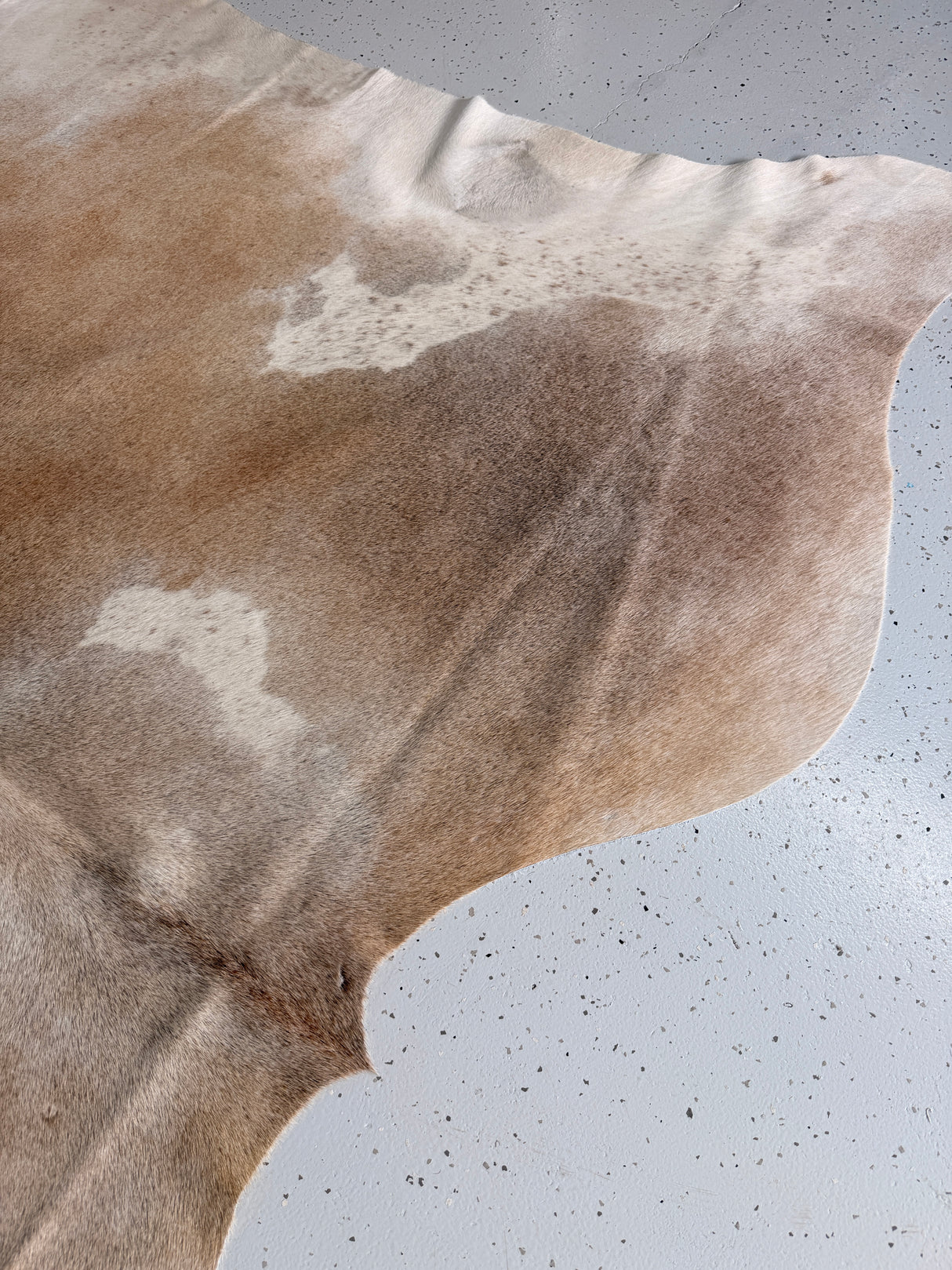Genuine Cowhide Floor Rug 1123