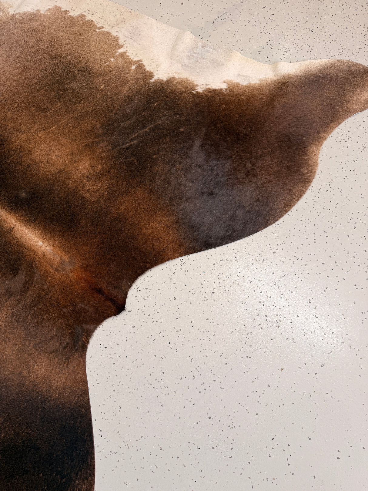 Genuine Cowhide Floor Rug 1131