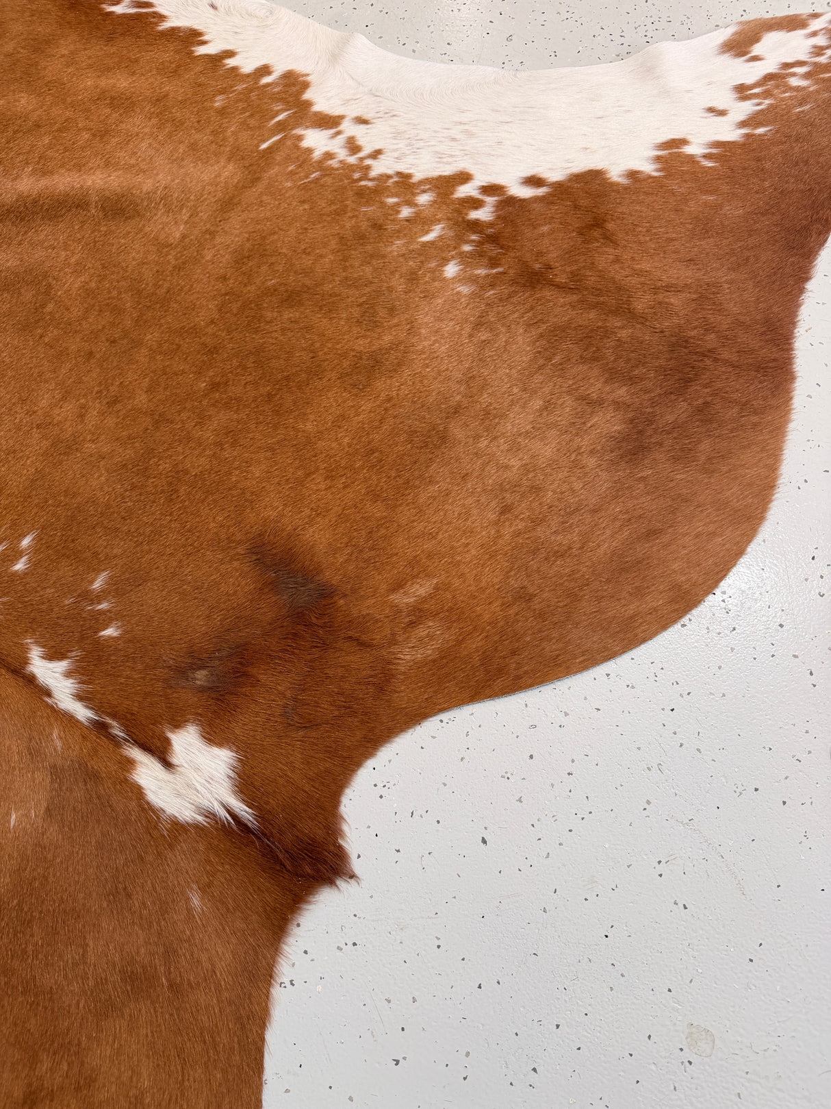 Genuine Cowhide Floor Rug 1144