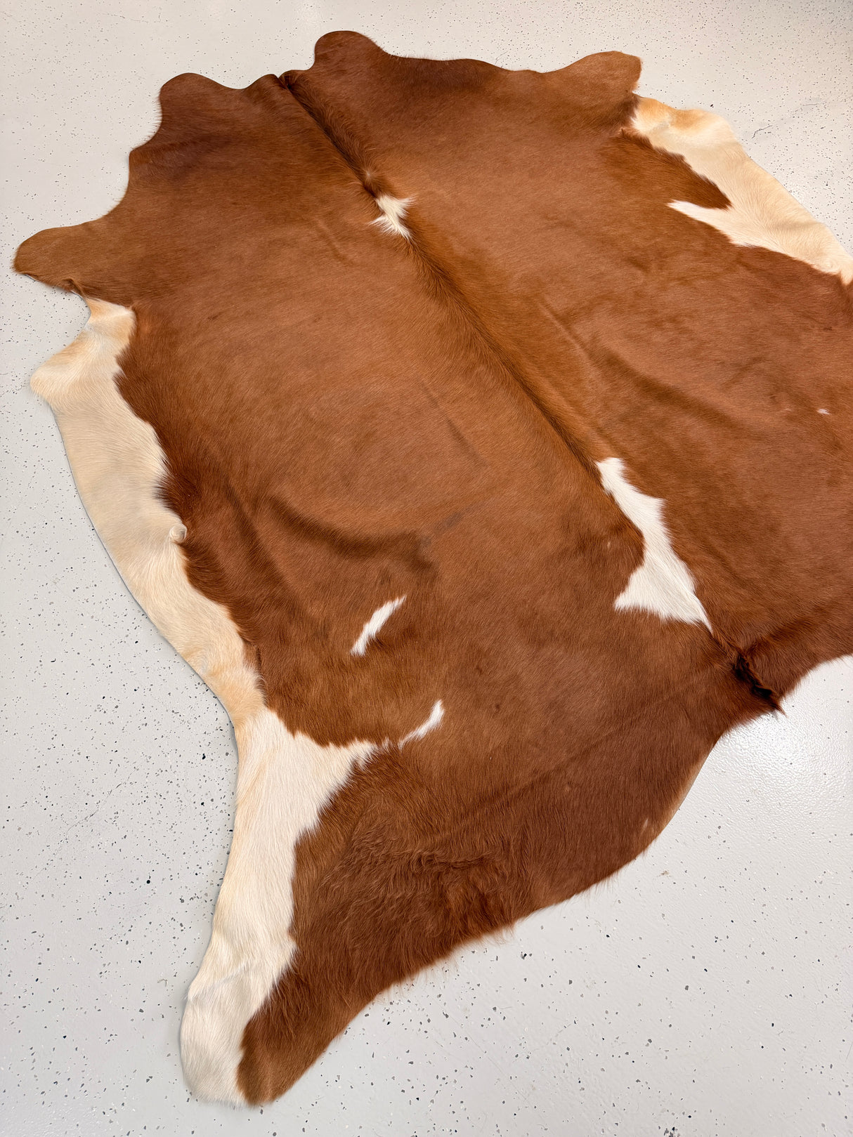 Genuine Cowhide Floor Rug 1147