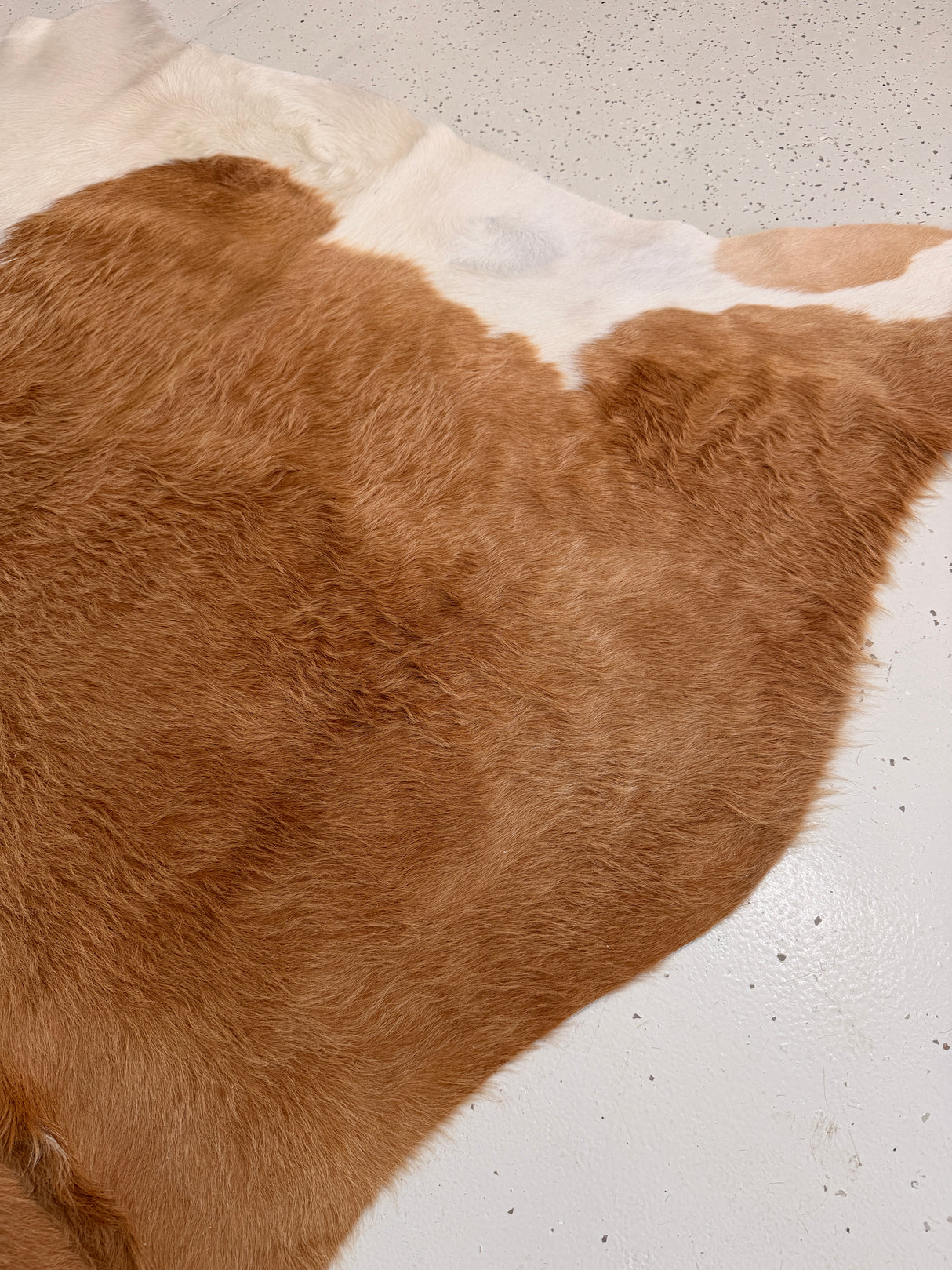 Genuine Cowhide Floor Rug 1150