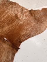 Genuine Cowhide Floor Rug 1152