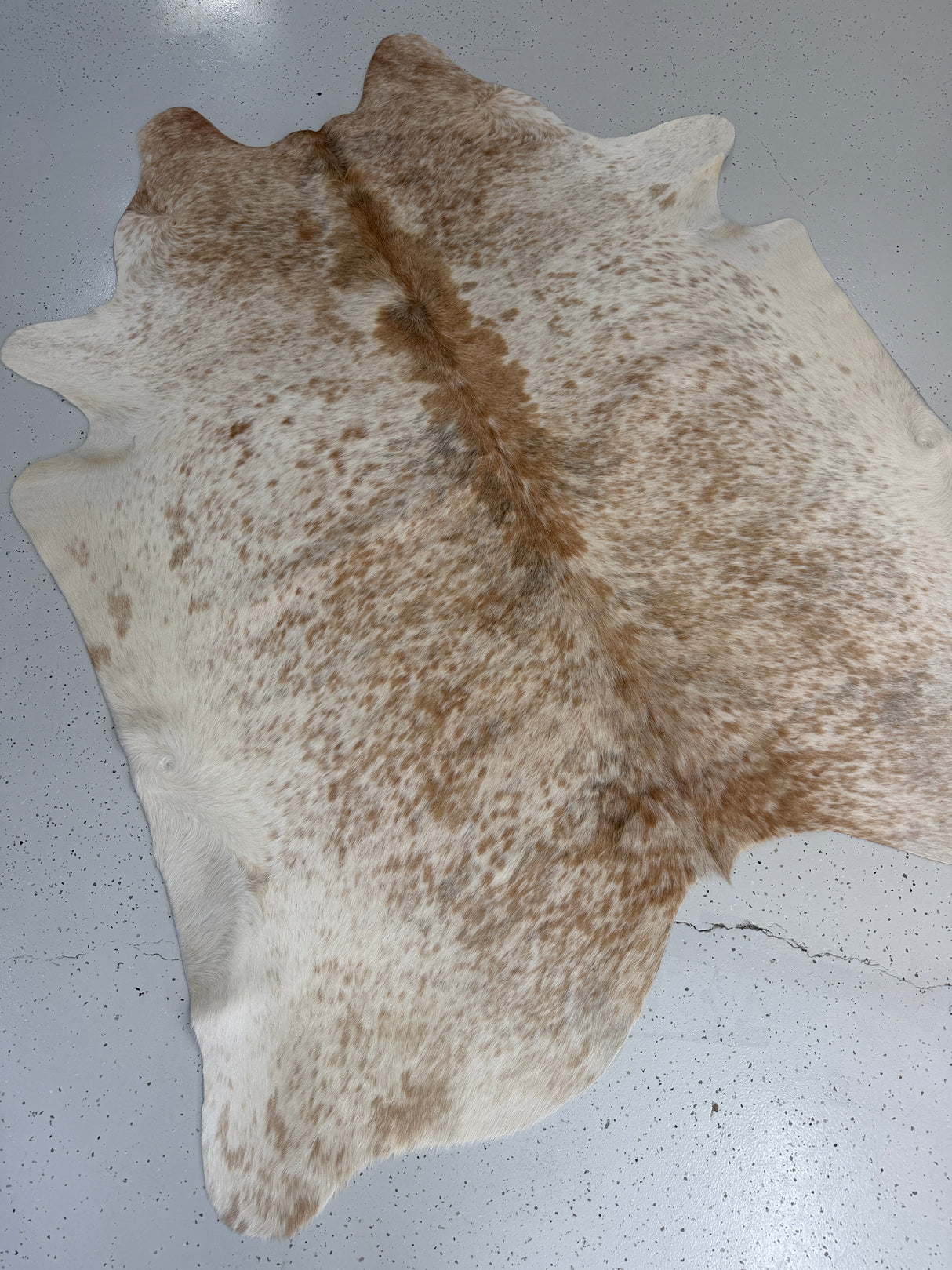 Genuine Cowhide Floor Rug 885