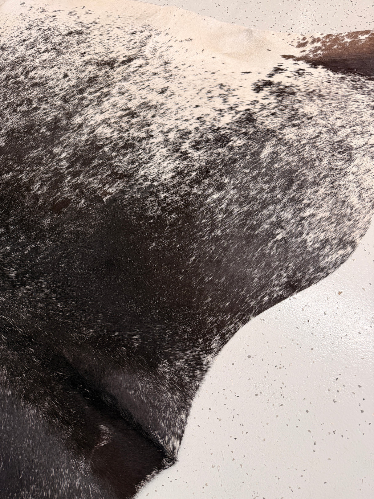 Genuine Cowhide Floor Rug 1163