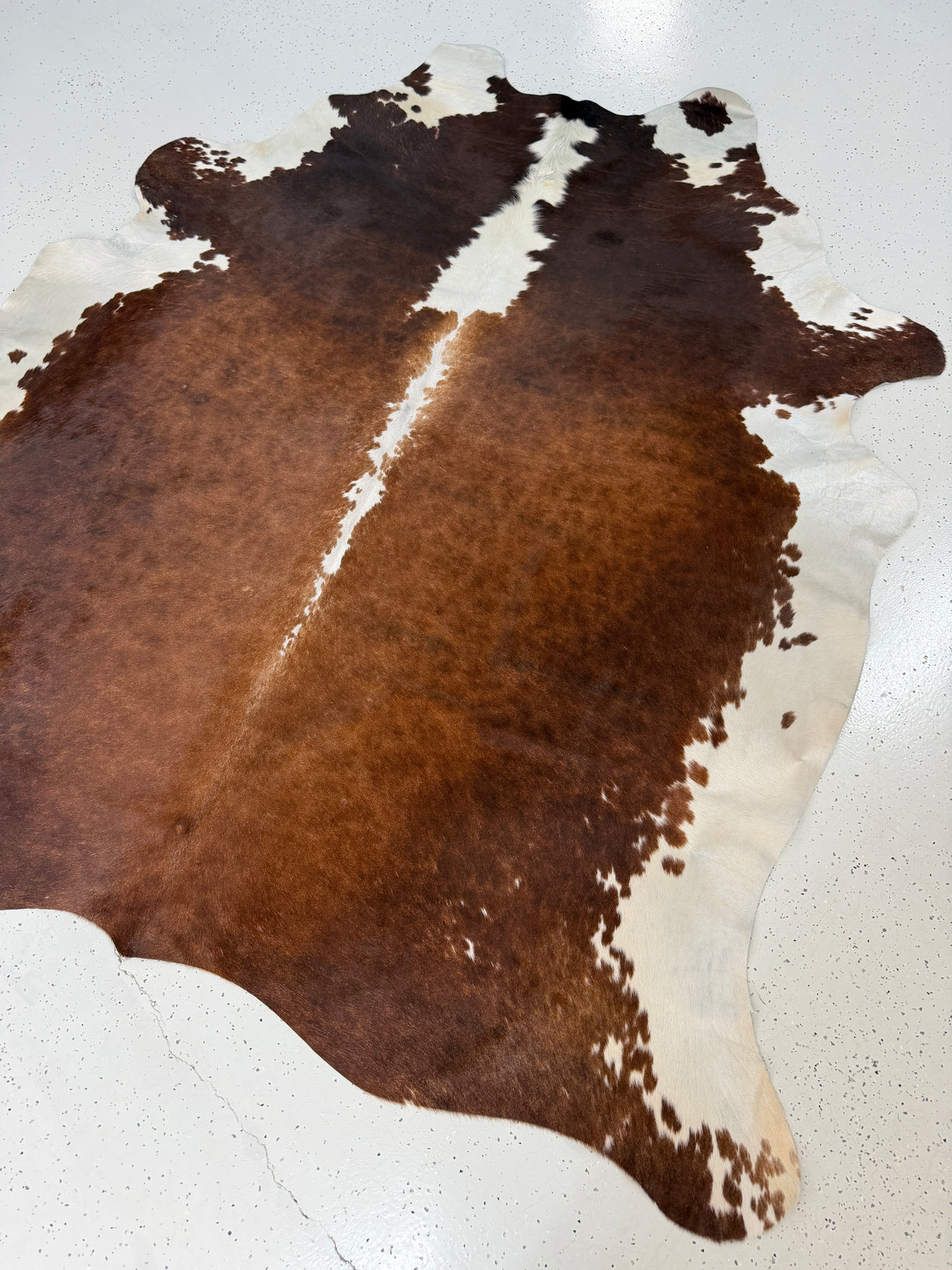 Genuine Cowhide Floor Rug 891