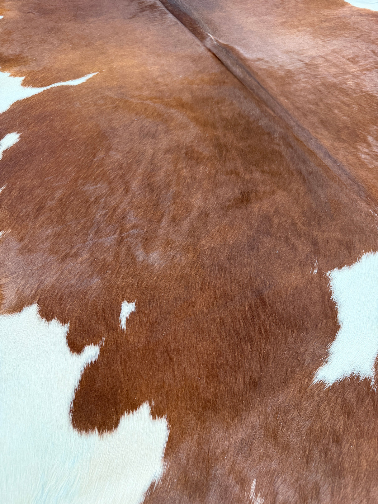 Genuine Cowhide Floor Rug 892