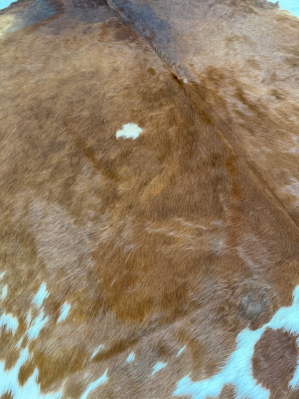 Genuine Cowhide Floor Rug 893