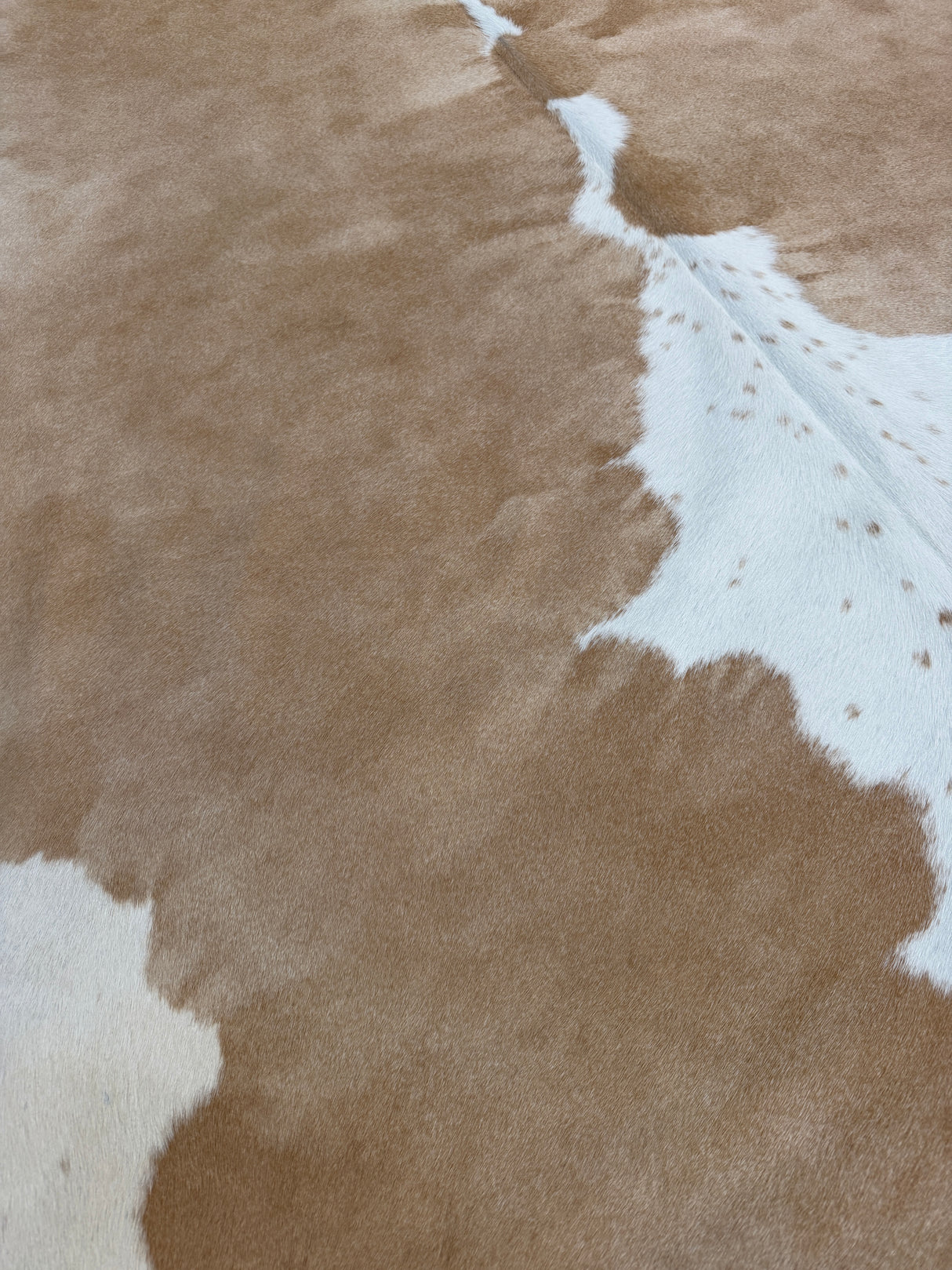 Genuine Cowhide Floor Rug 897