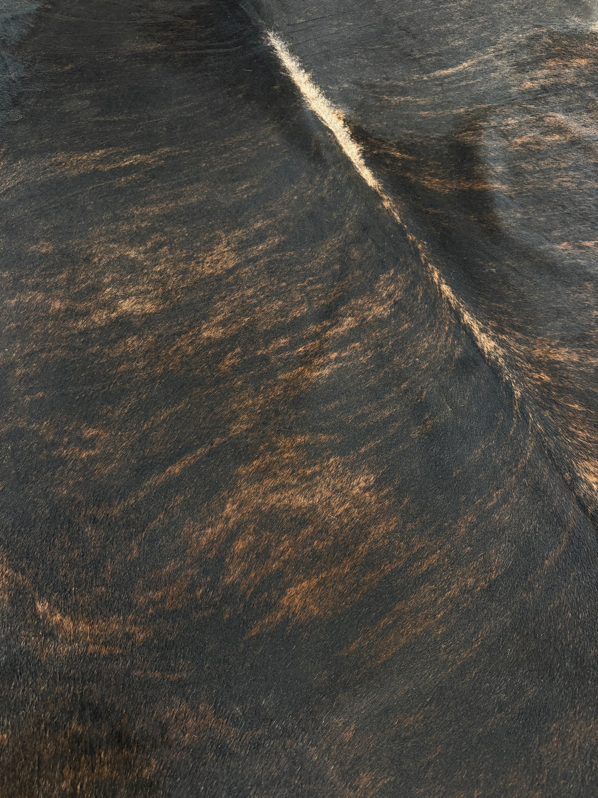 Genuine Cowhide Floor Rug 900